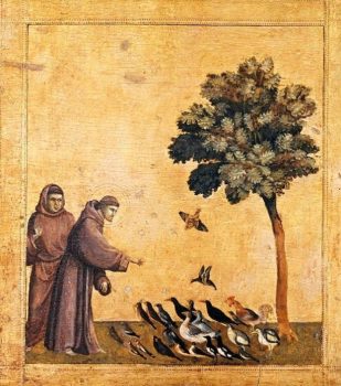 image-3-exemple-2-saint-francois